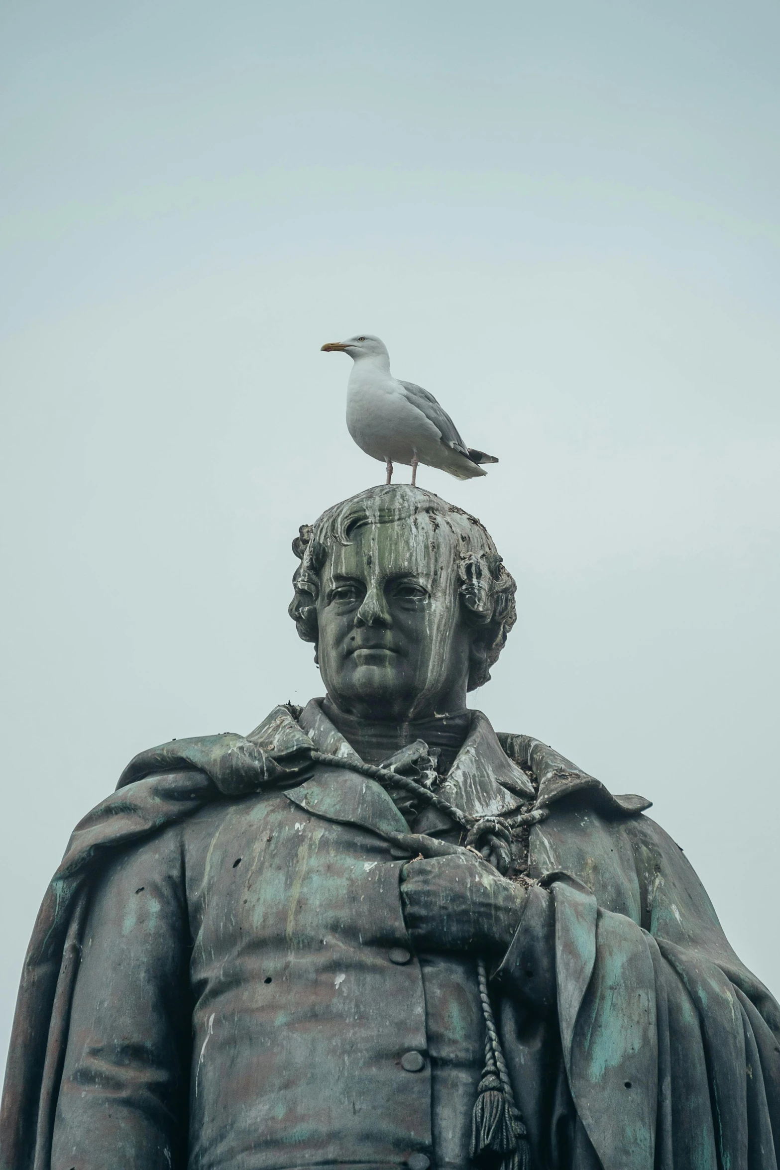 a bird sits on the shoulders of an ancient statue