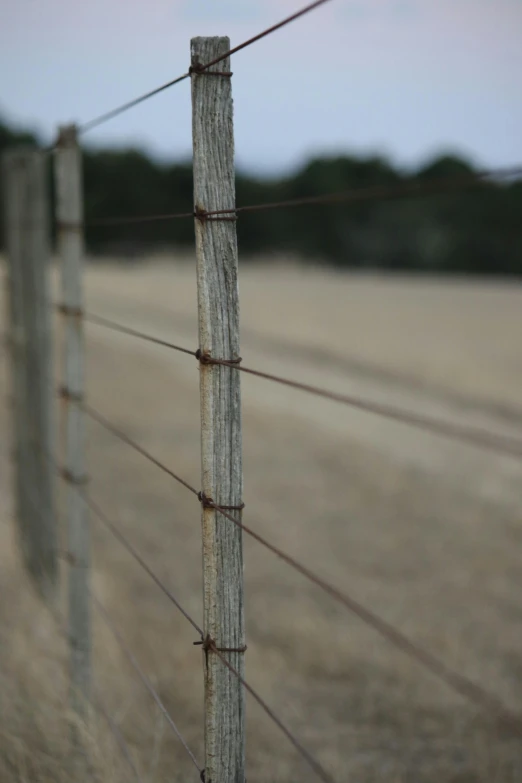 a view of a fence with razors and other fence posts