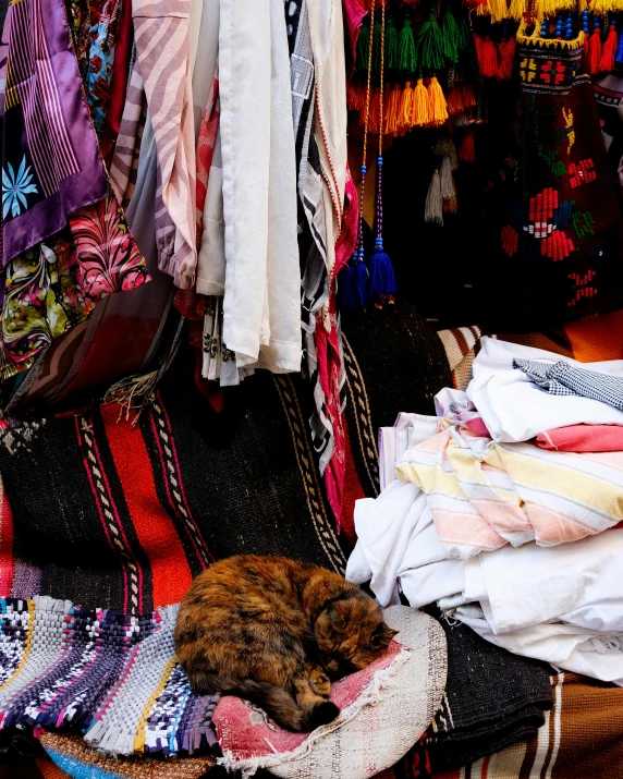 a cat sleeping on some clothes in a room