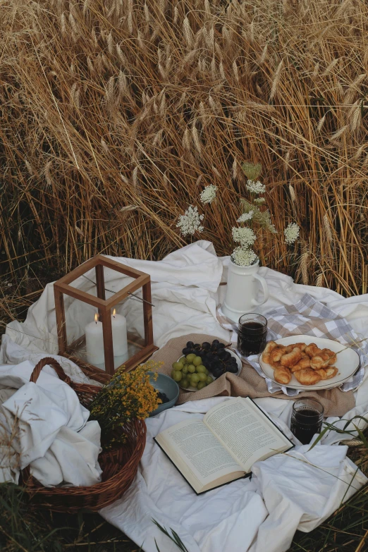 a picnic set out for two is in a wheatfield