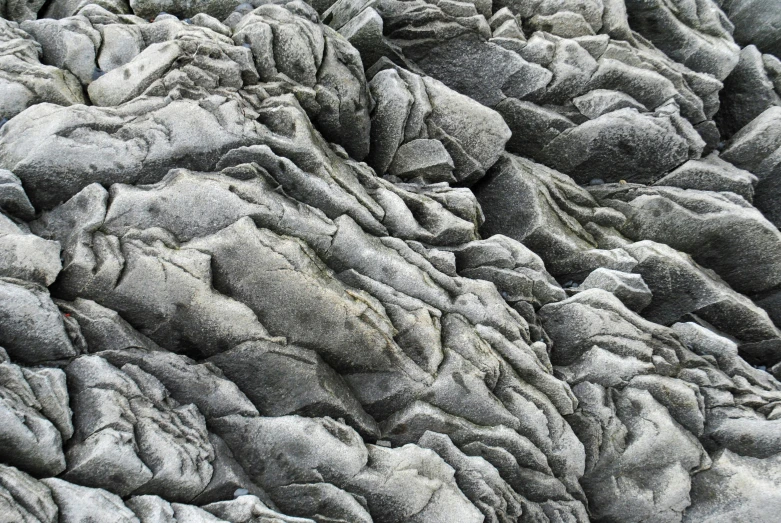 rocks with large s and little leaves that appear to be falling apart