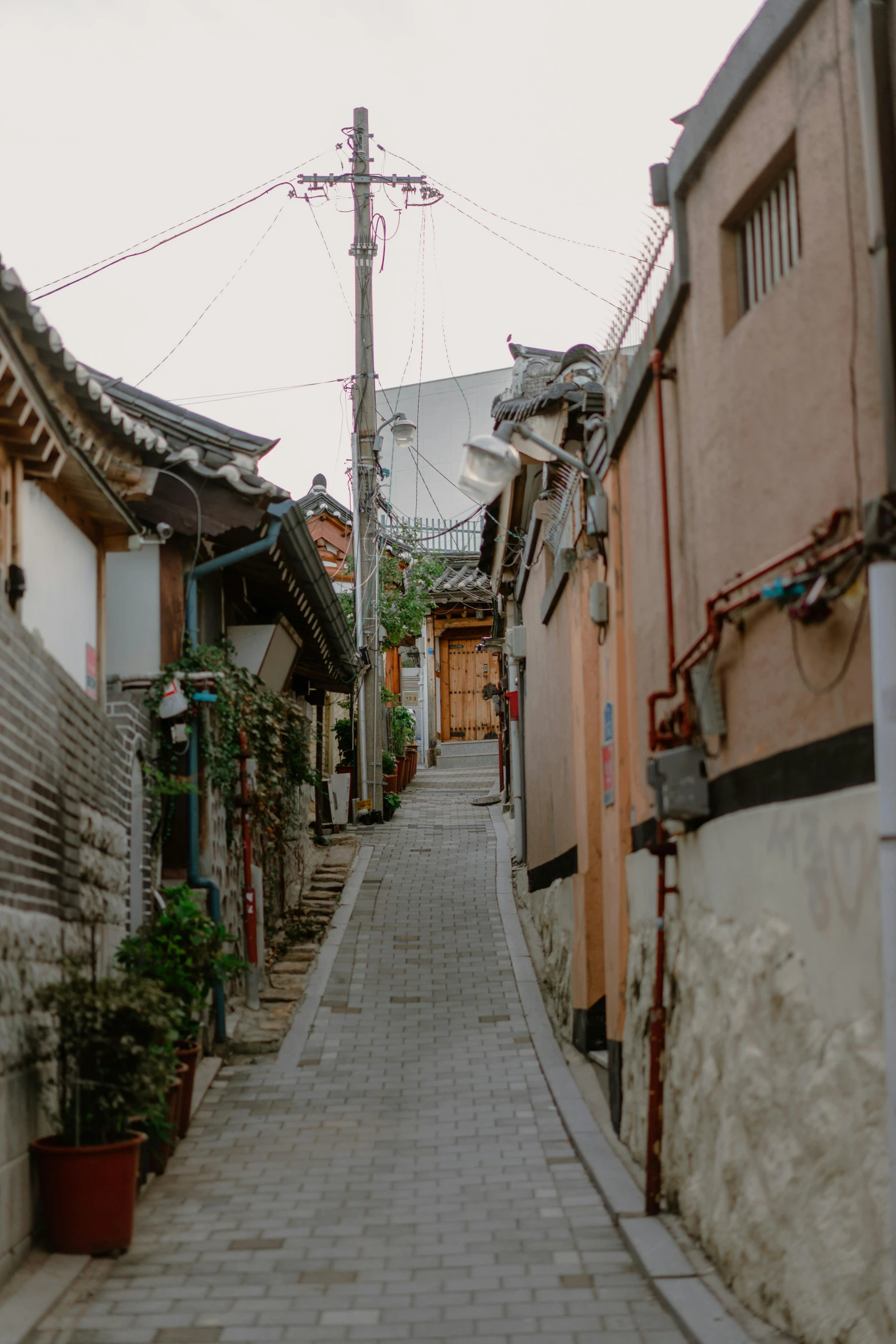 an alleyway in an asian village with pots and plant