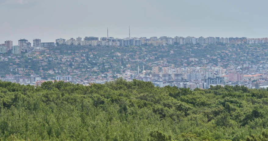 the city sits on the side of the hill near a few trees