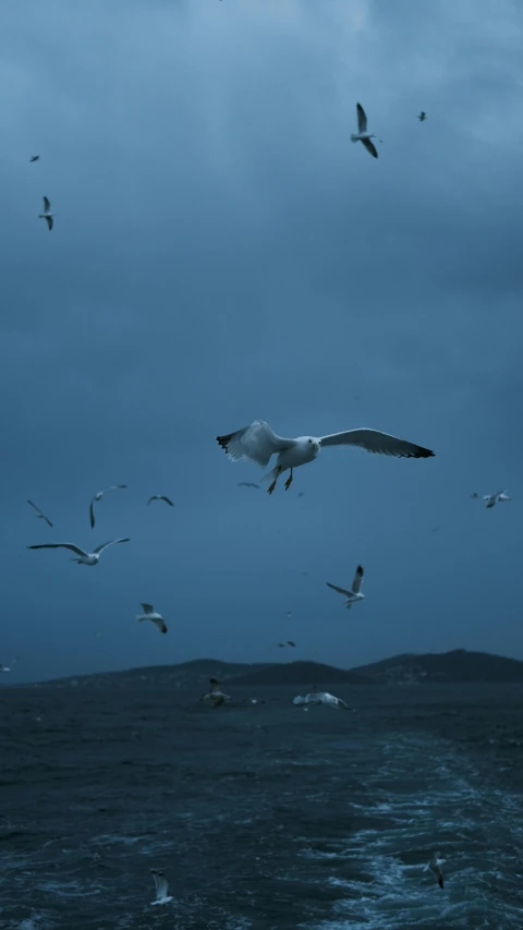 birds flying over the ocean during a cloudy day