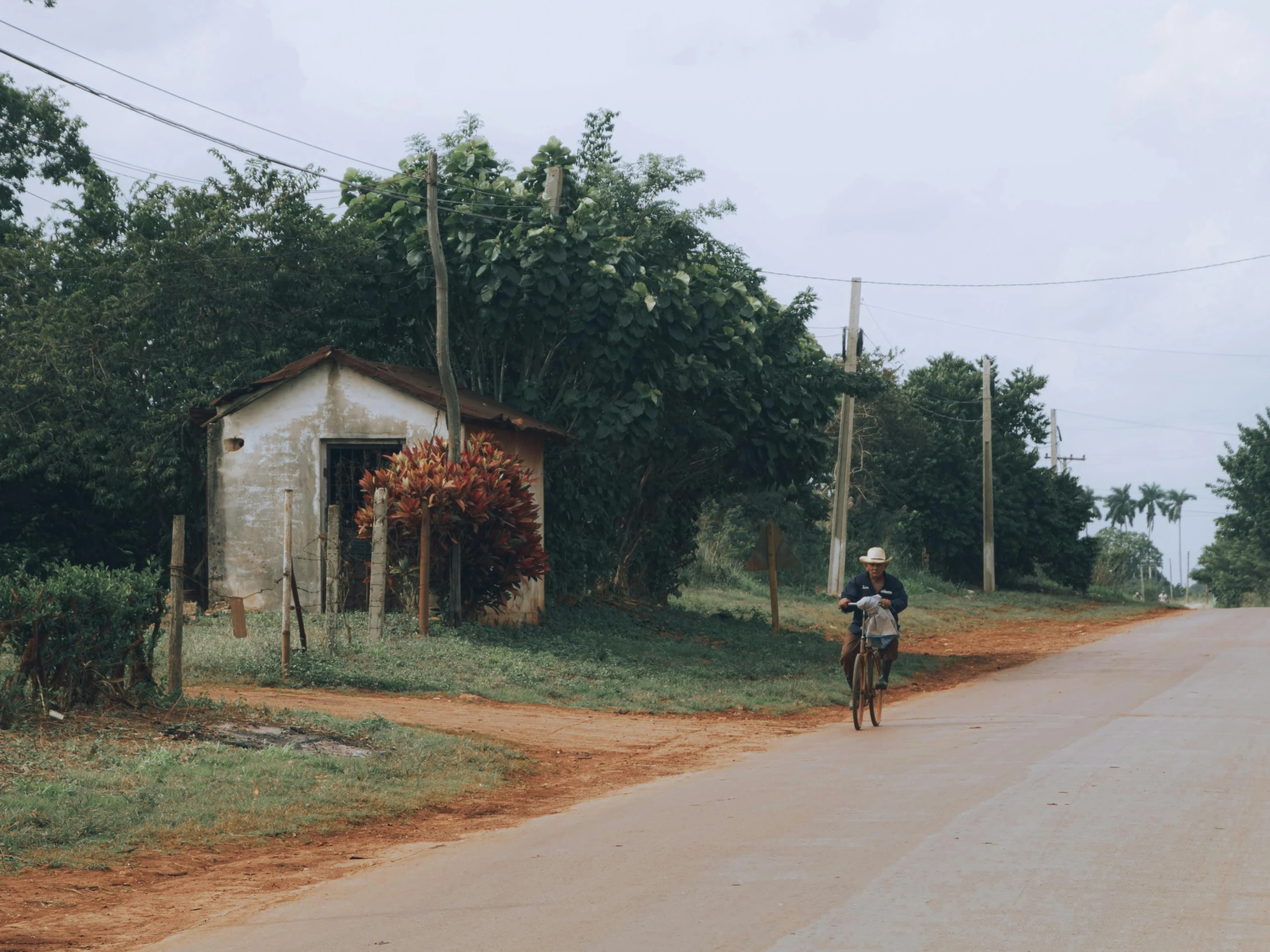 a woman riding her bike down a country road