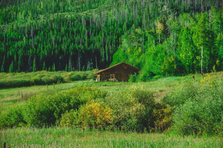 a small house on a field with trees in the background