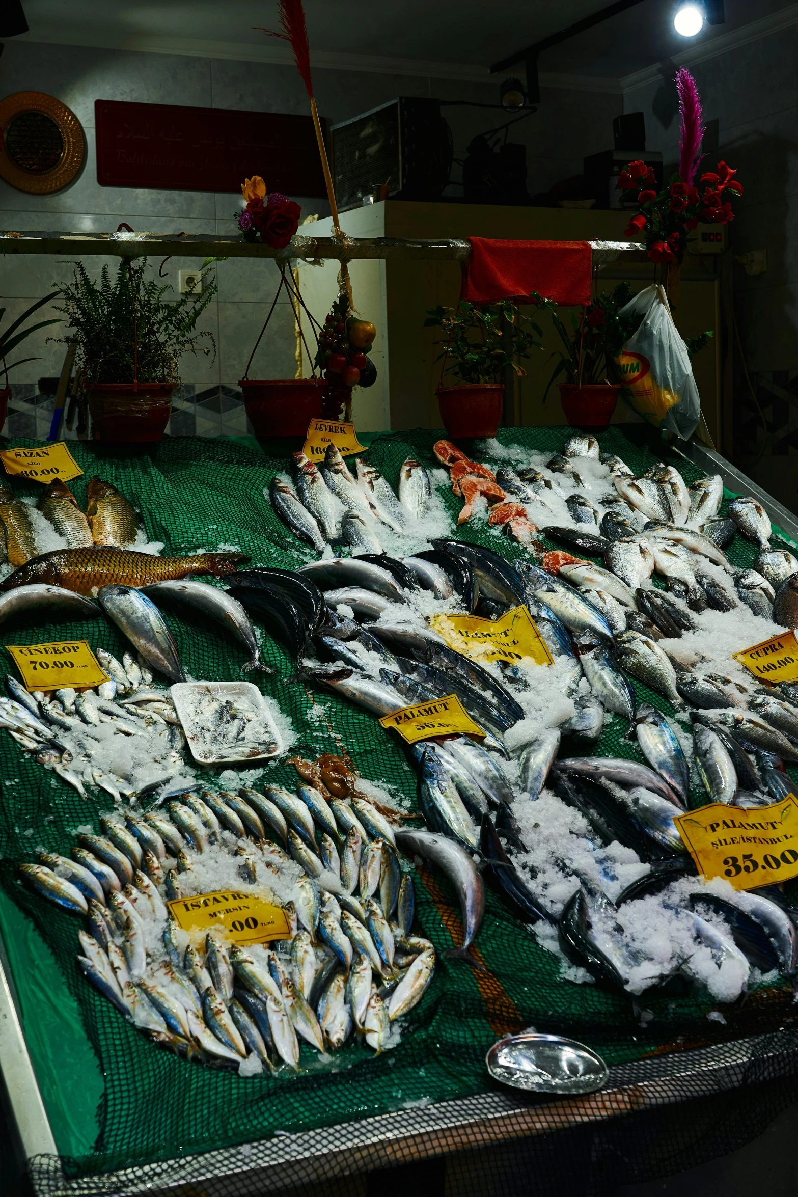 a number of fish in a pile on a table