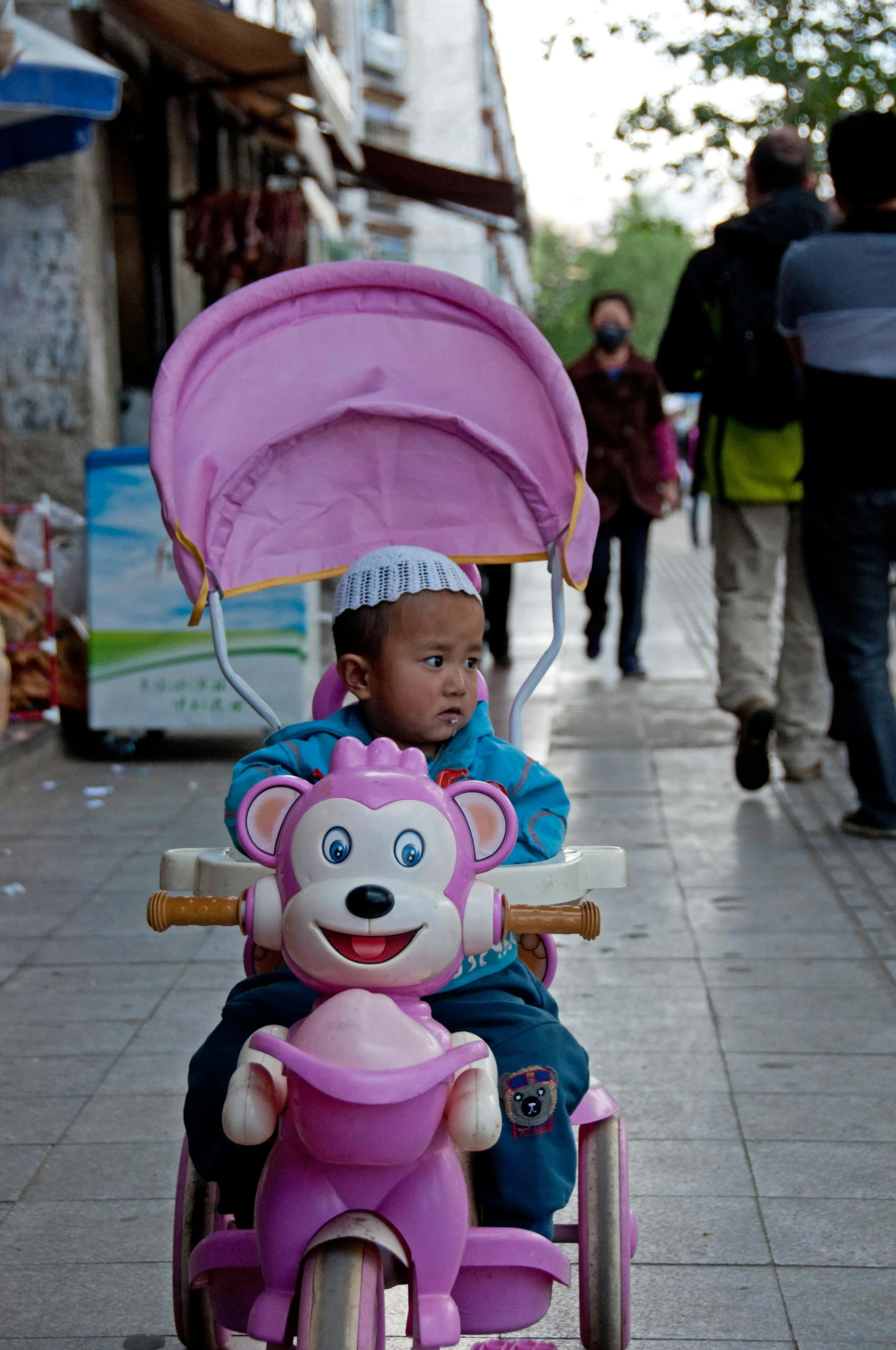 a child riding in a pink animal stroller