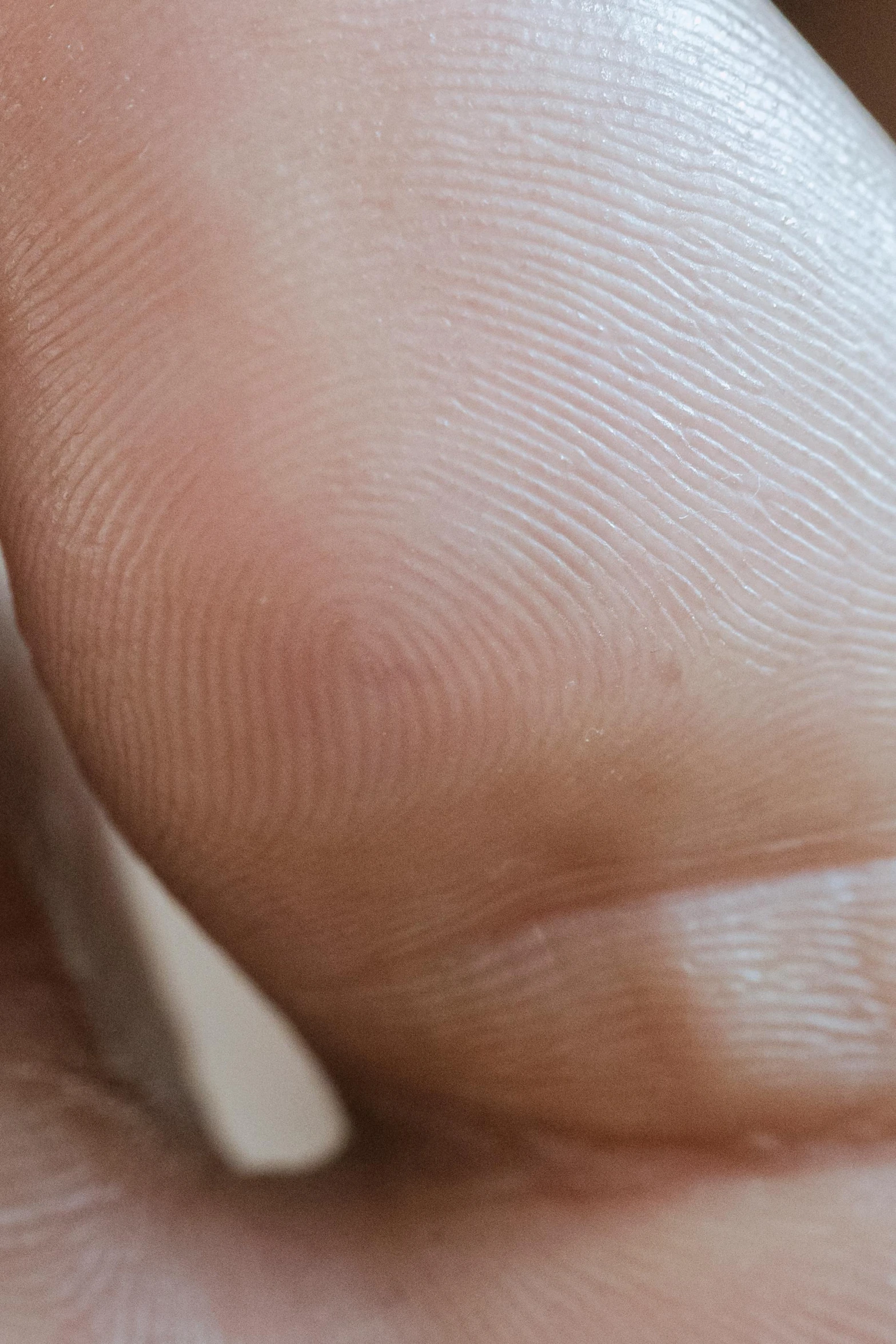 a close up s of an object on a finger