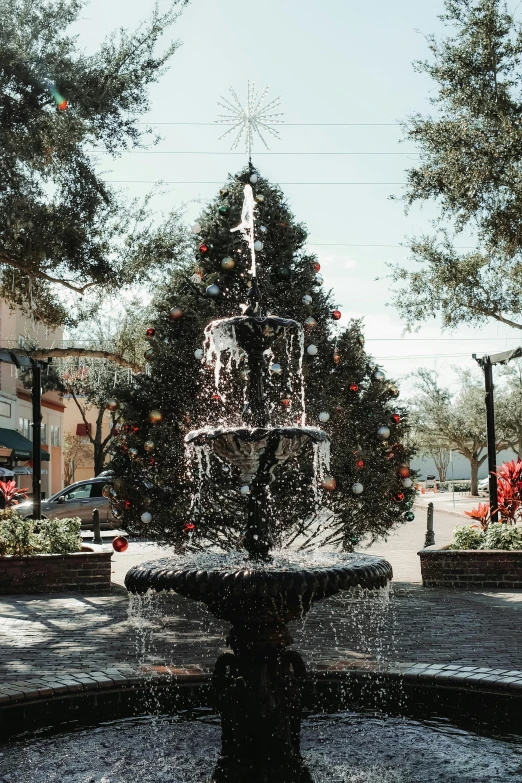 a water fountain surrounded by a christmas tree