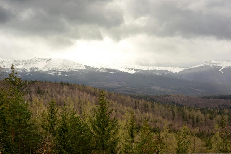 snow covered mountains stand in the distance