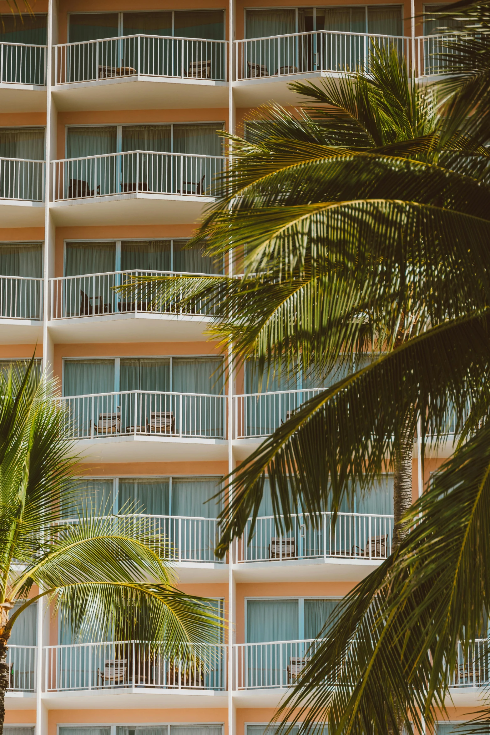 palm trees and the facade of an empty building