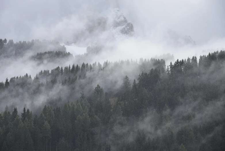 the sky is full of mist, and trees are in the foreground