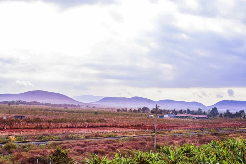 an area with brown grass, trees, and mountains