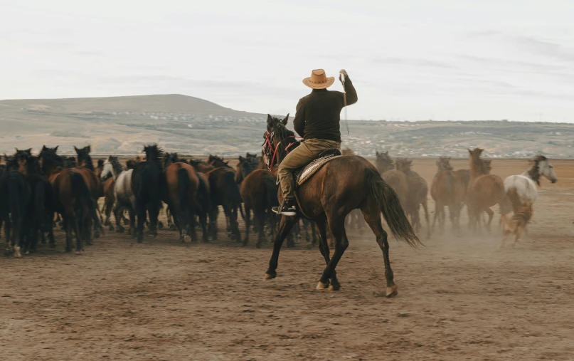 a man in a hat on top of a brown horse riding next to a herd of black horses