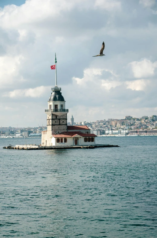 a bird flies over an island with a flag on it