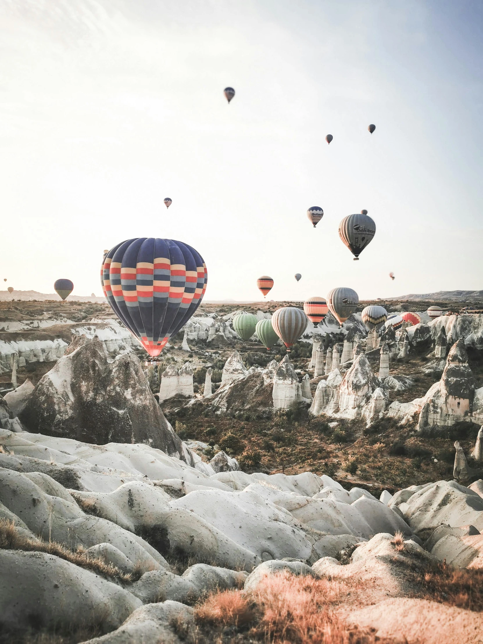 a bunch of  air balloons in the sky