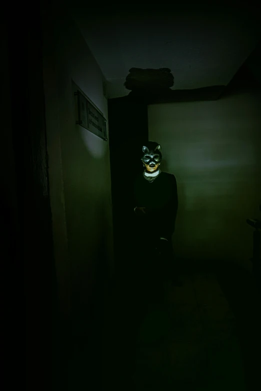 a creepy clown in a dimly lit hallway