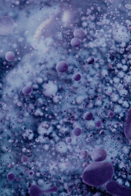 purple liquid on a purple background