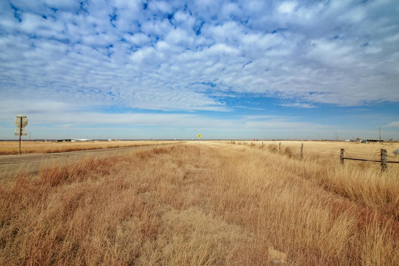 dirt road with a telephone pole and fence