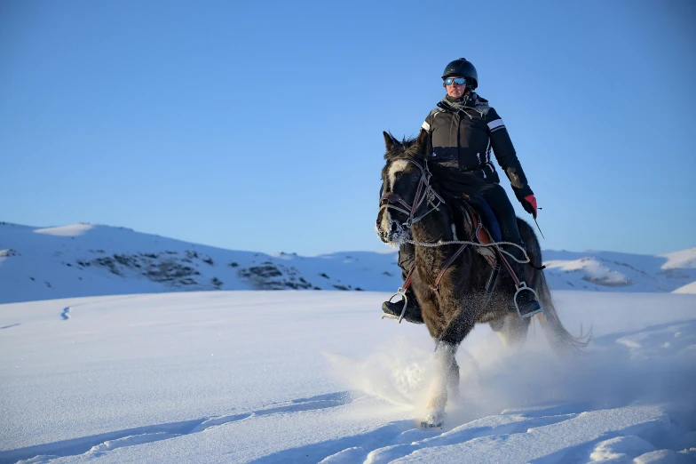 a person on a horse in a snow field