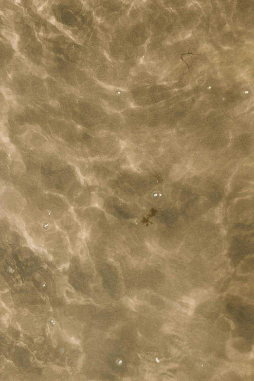 the brown surface of some water with small bubbles