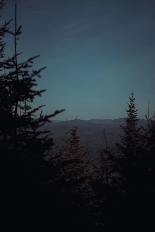 a dark view through some trees with a full moon visible in the distance