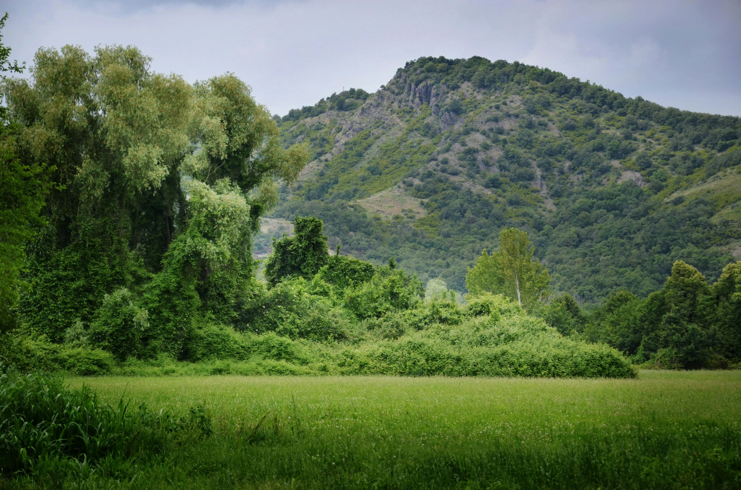 the land is surrounded by mountains and green vegetation