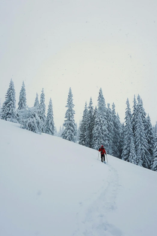 a skier in red is skiing down the snowy slopes