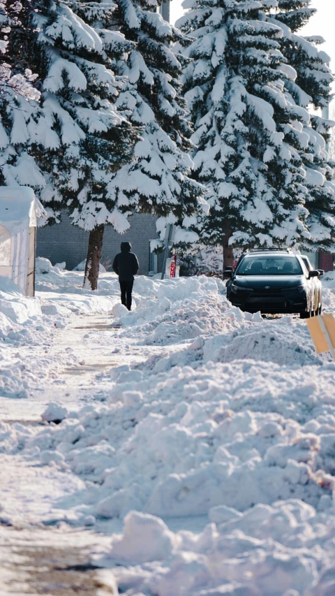 a snowboarder going through the path near trees