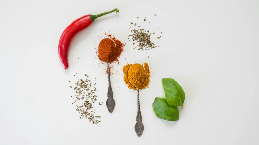 different spices in spoons next to a green plant