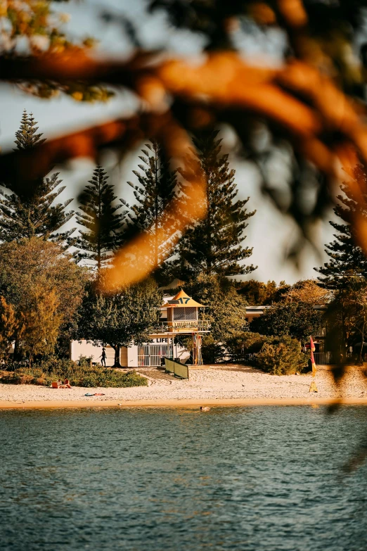 there is an image of an island and tree in the distance