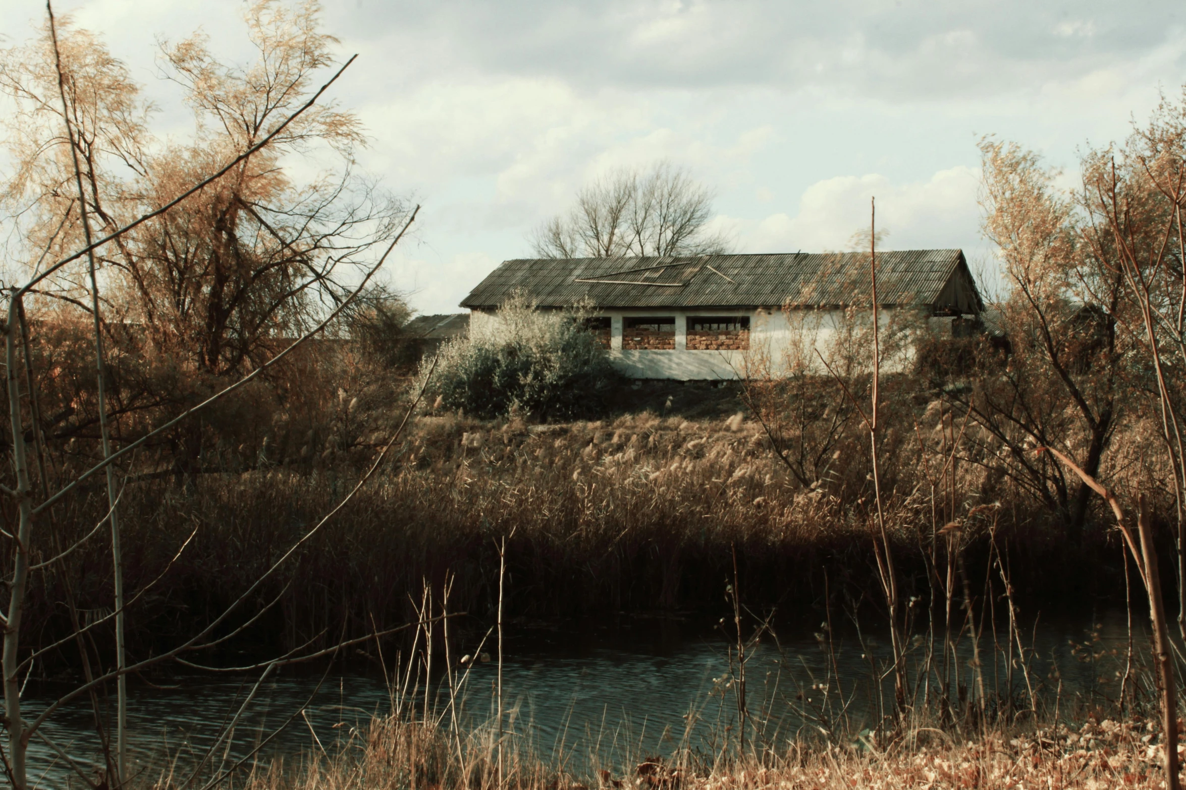 an old, rundown house sits in the midst of weeds