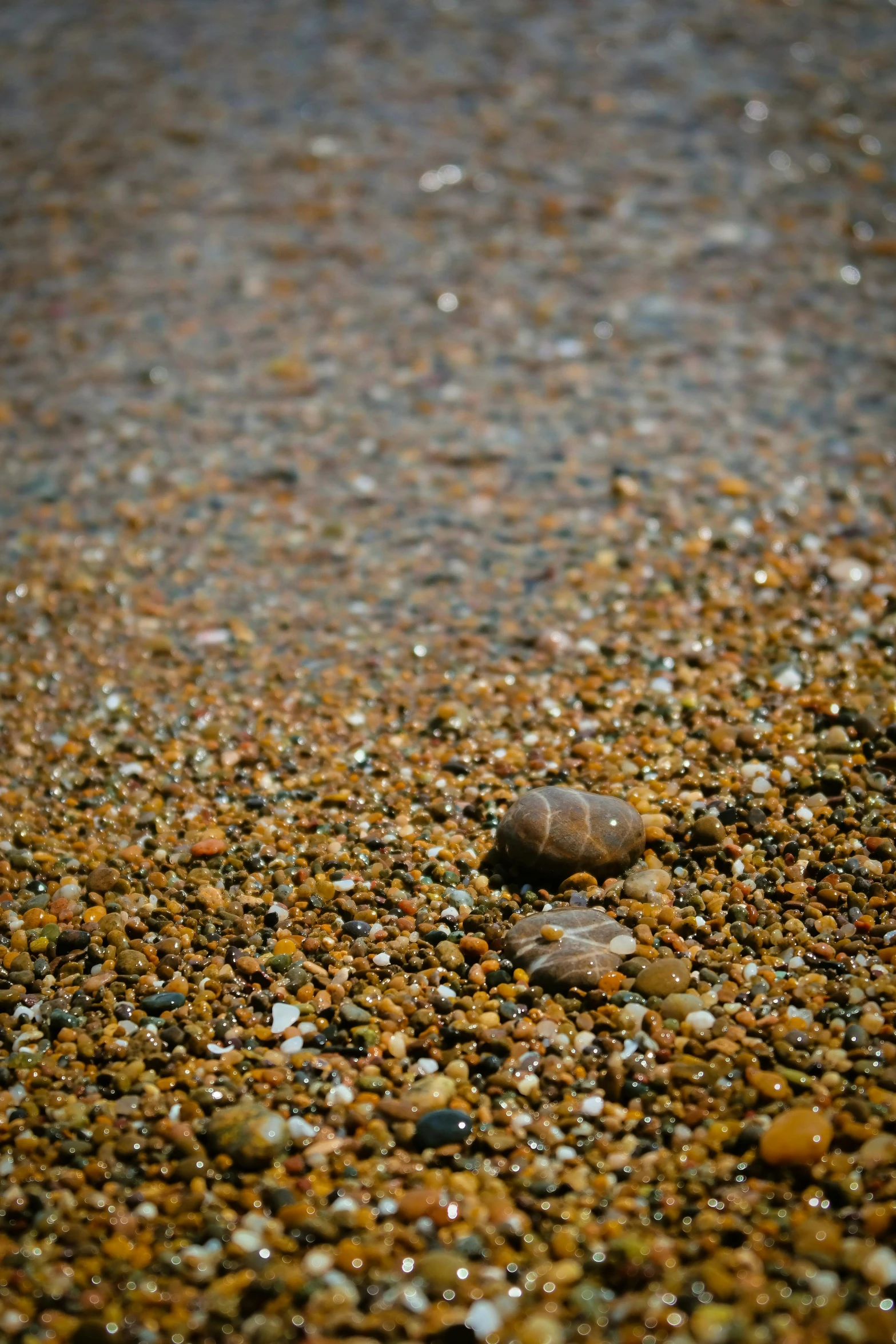 some small rocks in the sand on the beach