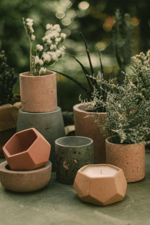 many terracottines and some plants in them are shown