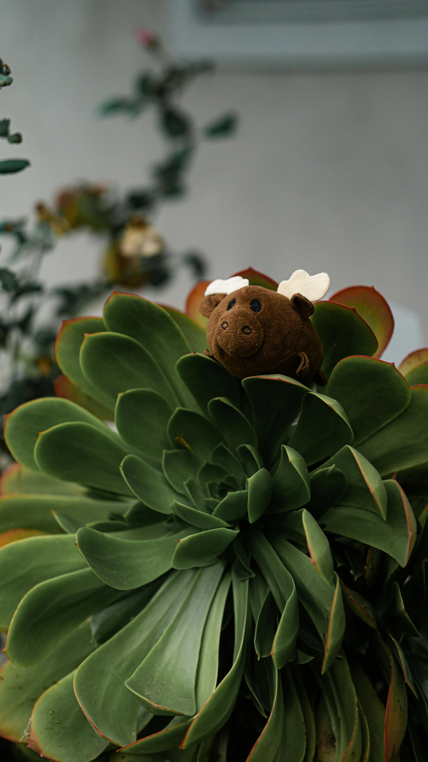 a brown teddy bear with a bow sitting on top of a large green plant