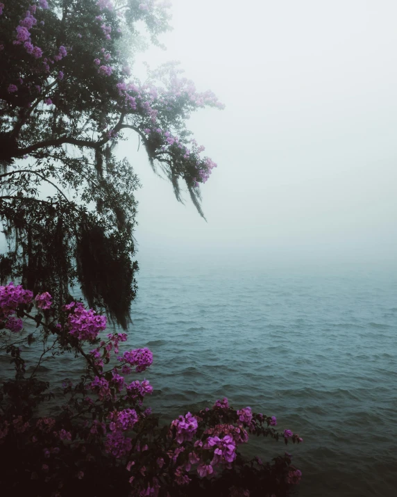 two boats on the water in a foggy day