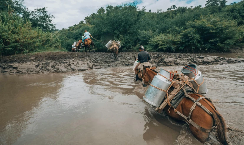 three horses walking through muddy water carrying some men