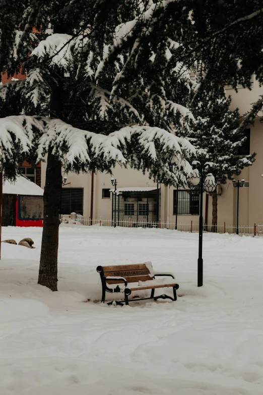 snow covers a bench next to a tree and a building