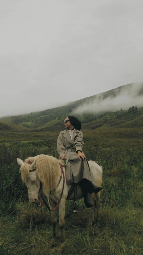 a man on top of a small horse in a grassy field