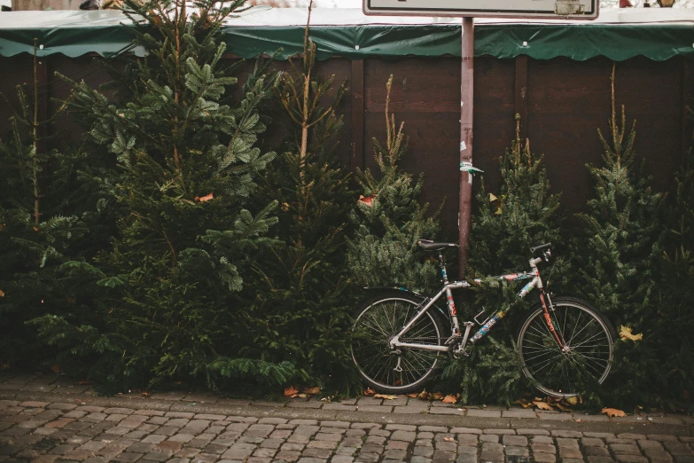 bicycle parked under the sign in front of a building