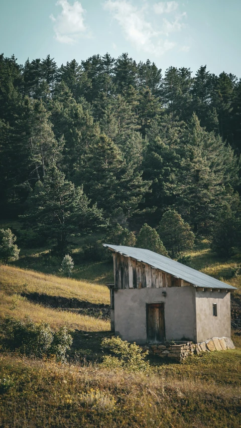 an old abandoned shack stands in a grassy field