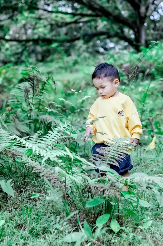 the boy is sitting in the tall grass