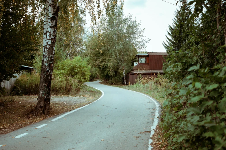 there is a large paved road in the woods