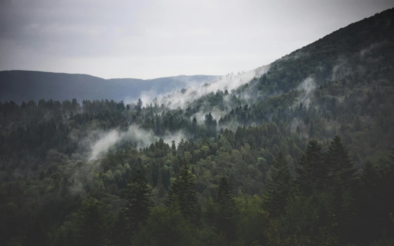 mountains covered in fog with tree tops