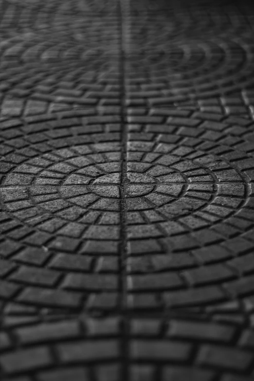 a black and white po shows cobblestones