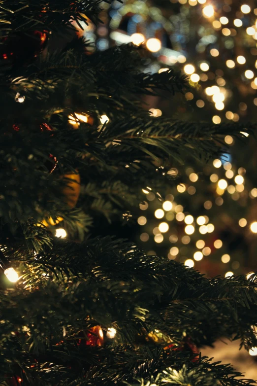 the small red clock is setting at the top of the tree