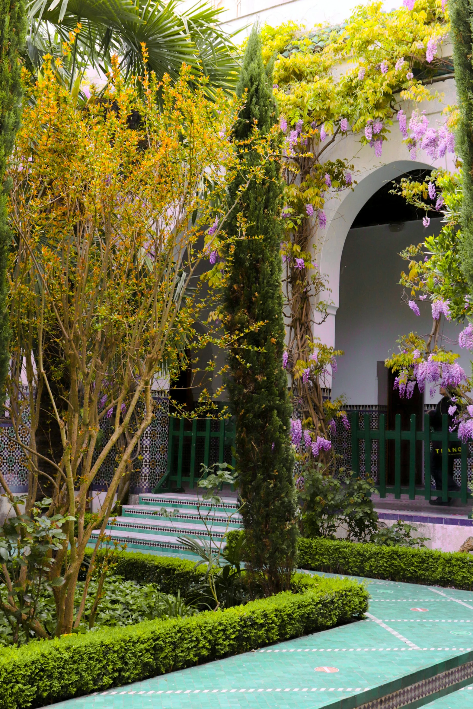 trees that are lined with flowers and green grass