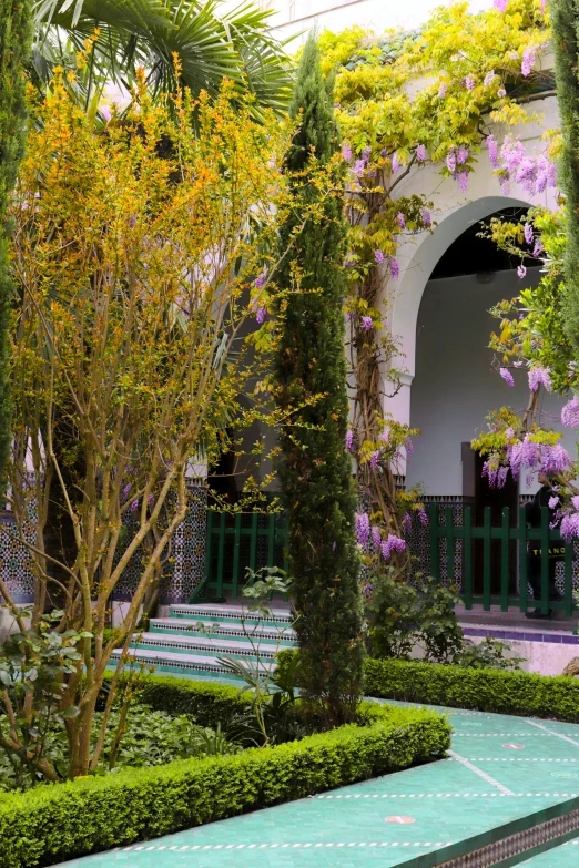 trees that are lined with flowers and green grass