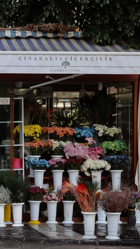 a display of various flowers outside a building